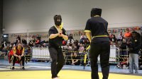 IMG_3344.JPG